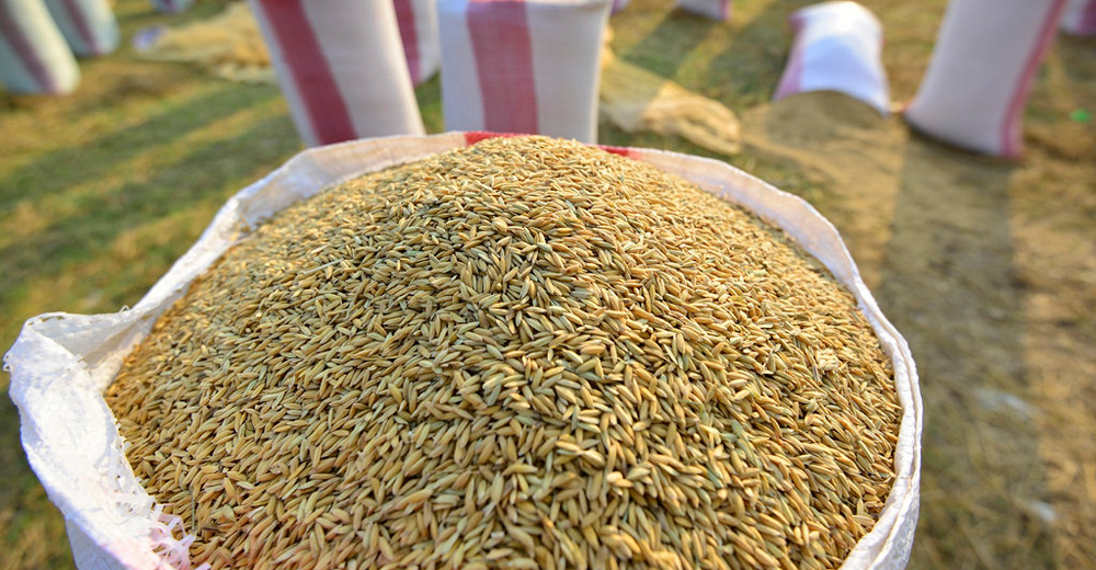 mcmfwst8k5dbkg0zhvpj-png